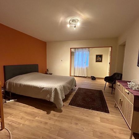 Bel Appartement En Rdc Proche Strasbourg Nice Apartment Very Near Страсбург Экстерьер фото