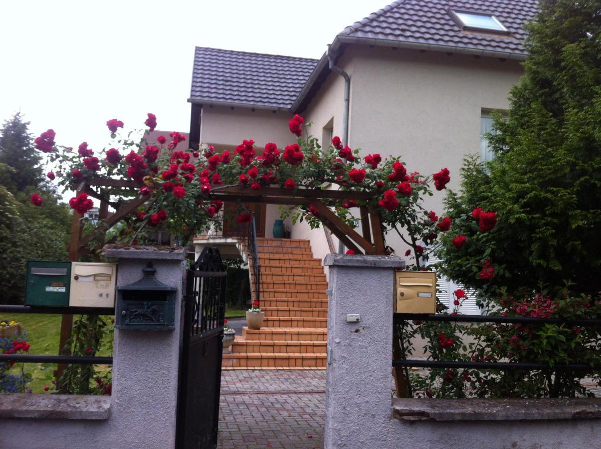 Bel Appartement En Rdc Proche Strasbourg Nice Apartment Very Near Страсбург Экстерьер фото