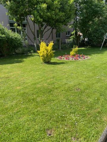 Bel Appartement En Rdc Proche Strasbourg Nice Apartment Very Near Страсбург Экстерьер фото